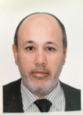 عبدالحكيم محمد أحمد مصلي